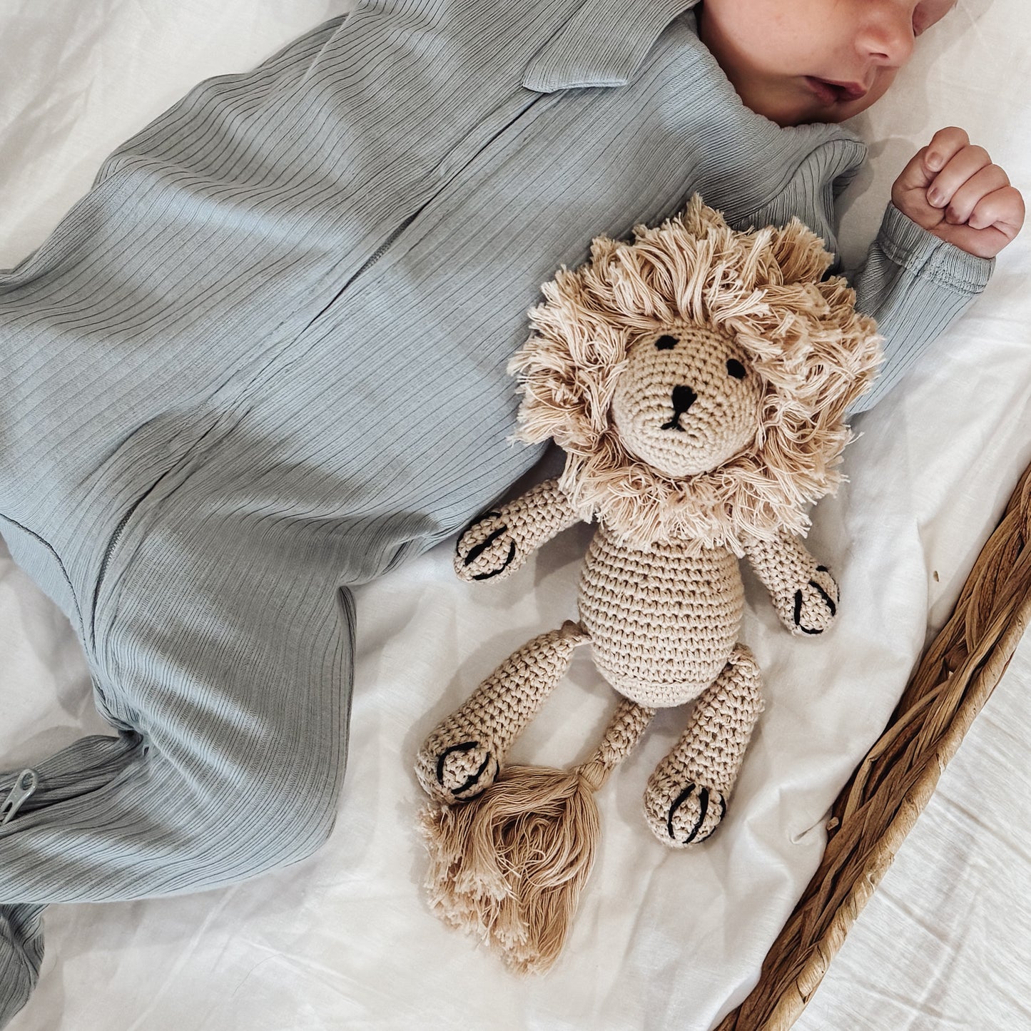 Little Lenny The Lion