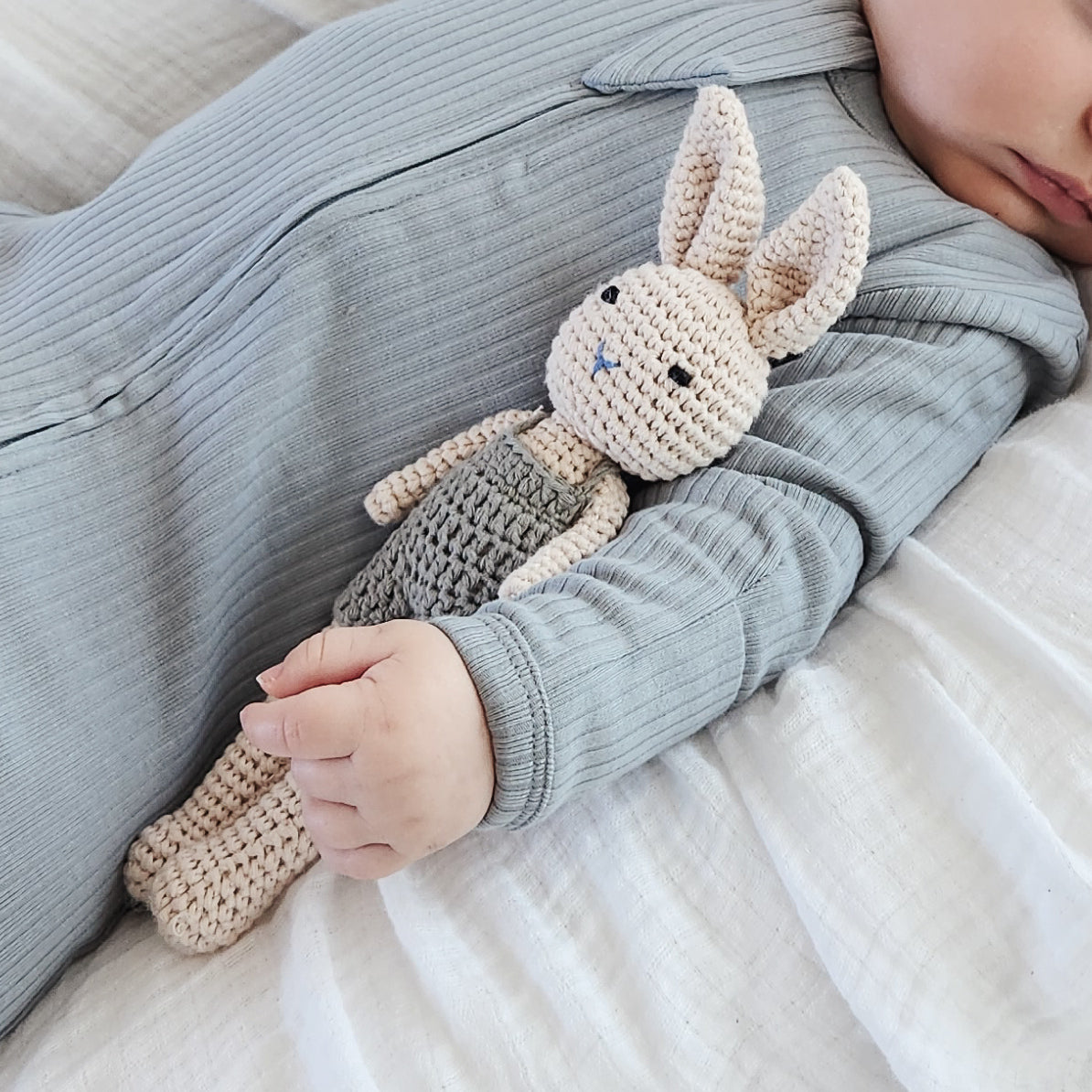 Bertie The Bunny