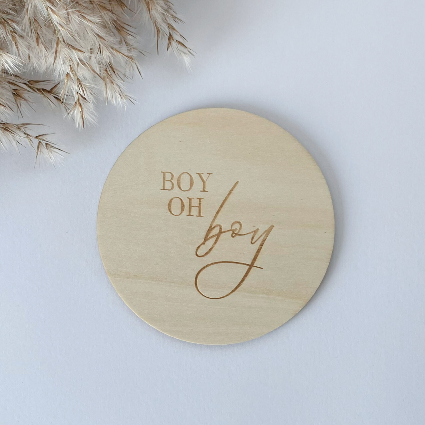 Gender Reveal Announcement Plaque - Boy