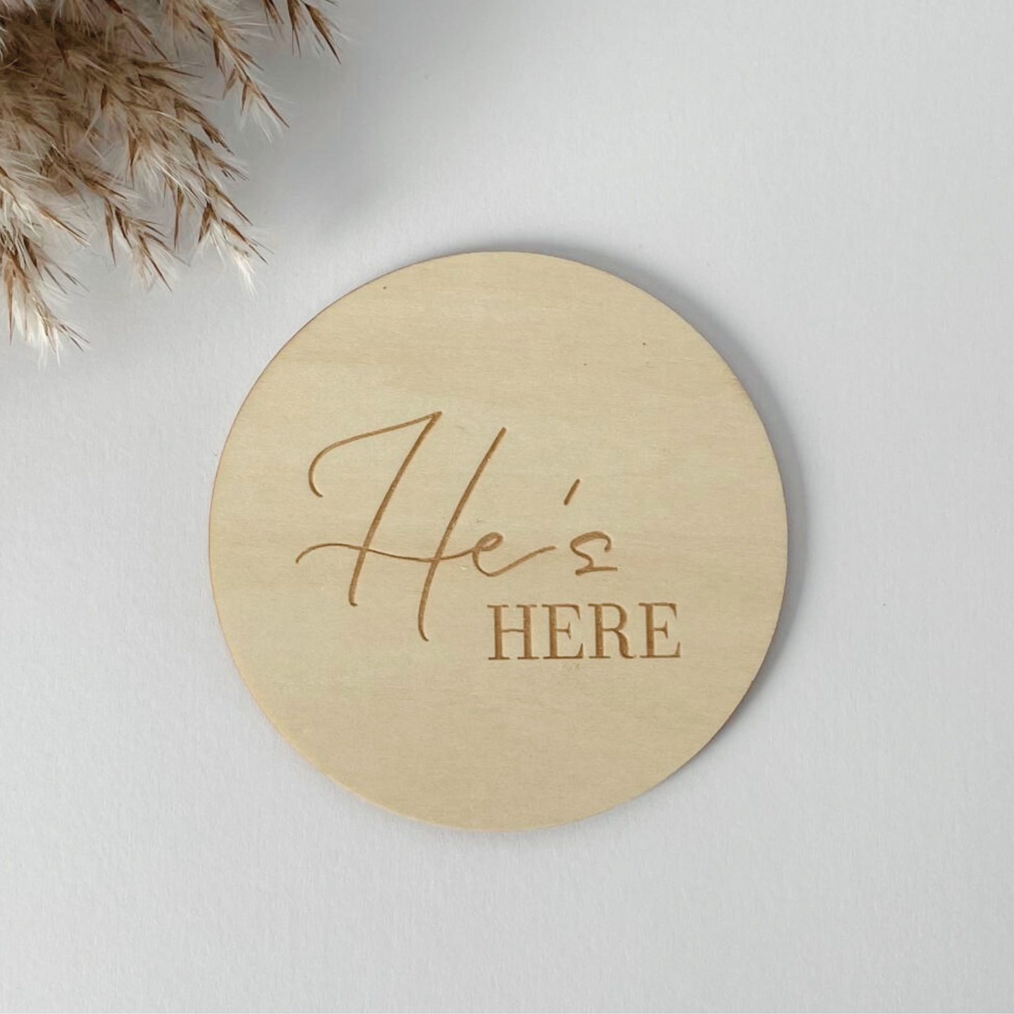 Gender Reveal Announcement Plaque - Boy