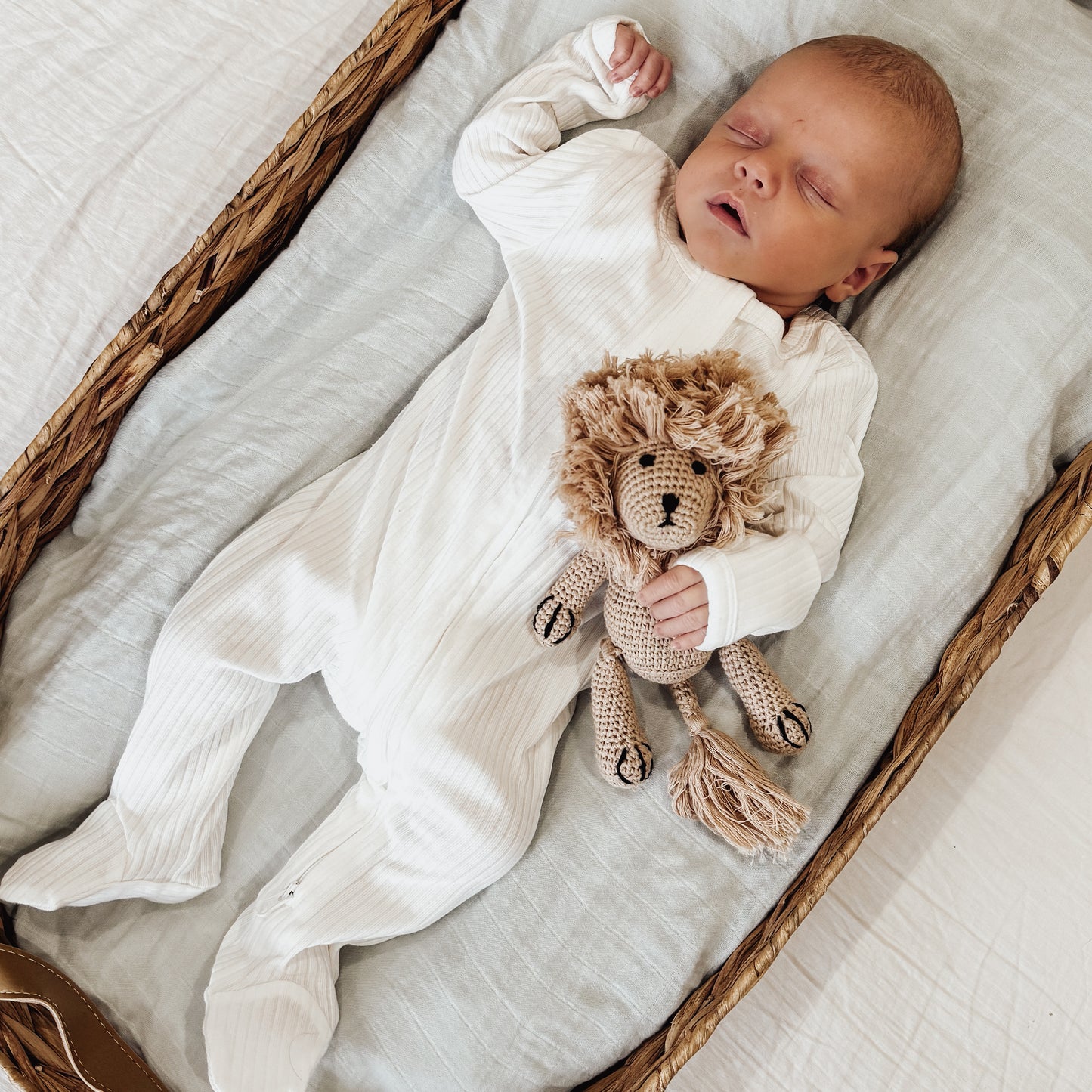 Little Lenny The Lion